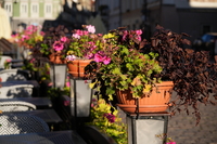 Sigma C 20-200 mm f/3.5-6.3 DG - zdjcia przykadowe