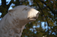 Sigma C 20-200 mm f/3.5-6.3 DG - zdjcia przykadowe