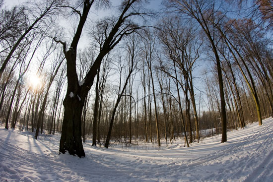 Tworzenie panoram sferycznych - Technika i sprz�t