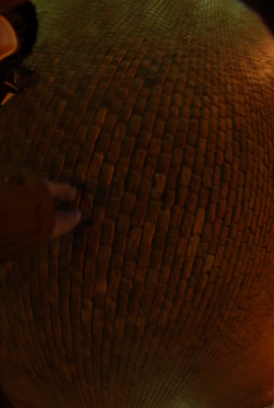 Tworzenie panoram sferycznych - Technika i sprz�t