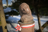 Nikkor Z 35 mm f/1.2 S - zdj�cia przyk�adowe