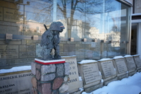 Voigtlander Apo Lanthar 28 mm f/2 Aspherical - zdj�cia przyk�adowe