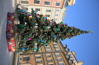 Nikkor Z 24-70 mm f/2.8 S II - zdj�cia przyk�adowe