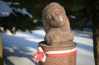 Nikkor Z 24-70 mm f/2.8 S II - zdj�cia przyk�adowe