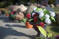 Viltrox AF 50 mm f/1.4 Pro - zdj�cia przyk�adowe