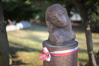 Viltrox AF 50 mm f/1.4 Pro - zdj�cia przyk�adowe