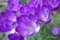 Ricoh GR IV - zdj�cia przyk�adowe