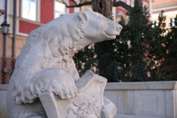 Samyang AF 24-60 mm f/2.8 FE - zdj�cia przyk�adowe