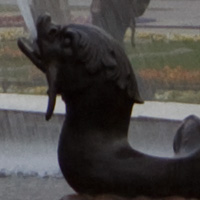 Filtry szare oraz po��wkowe - Fotoszko�a Fomei i Marumi: Lekcja 6