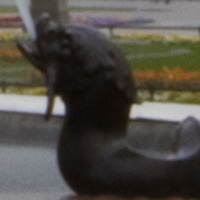 Filtry szare oraz po��wkowe - Fotoszko�a Fomei i Marumi: Lekcja 6