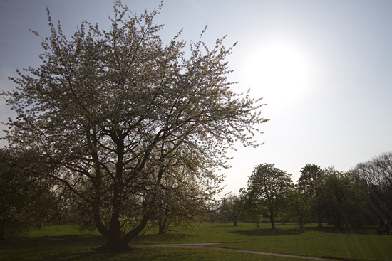 Filtry szare oraz po��wkowe - Fotoszko�a Fomei i Marumi: Lekcja 6