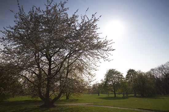 Filtry szare oraz po��wkowe - Fotoszko�a Fomei i Marumi: Lekcja 6