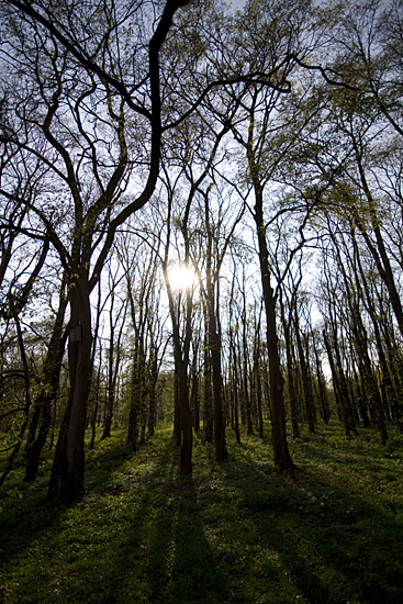 Filtry szare oraz po��wkowe - Fotoszko�a Fomei i Marumi: Lekcja 6