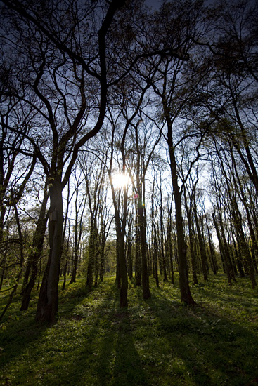 Filtry szare oraz po��wkowe - Fotoszko�a Fomei i Marumi: Lekcja 6