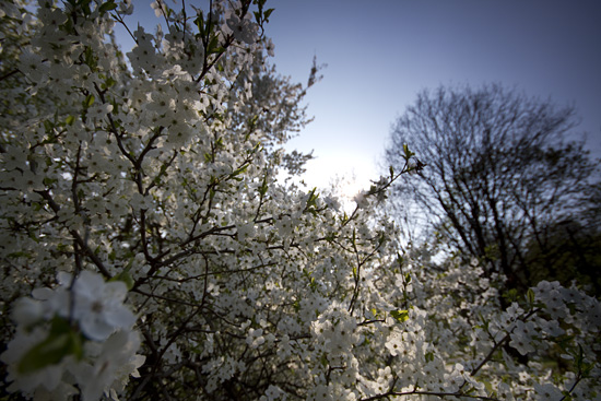 Filtry szare oraz po��wkowe - Fotoszko�a Fomei i Marumi: Lekcja 6