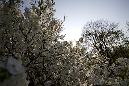 Filtry szare oraz po��wkowe - Fotoszko�a Fomei i Marumi: Lekcja 6