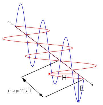 Filtry UV - Fotoszko�a Fomei i Marumi - lekcja 8