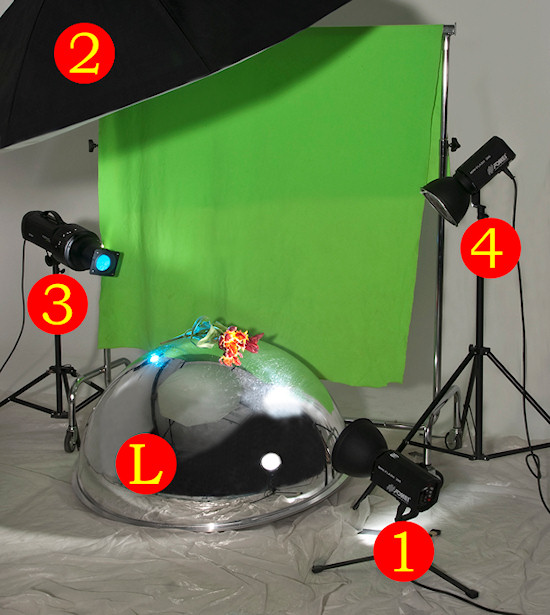 O�wietlenie w fotografii kwiat�w - Fotoszko�a Fomei i Marumi: Lekcja 9