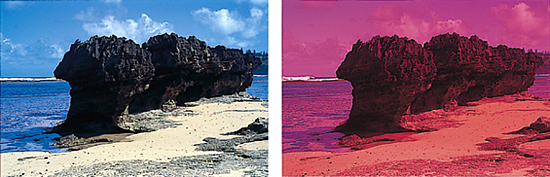 Filtry efektowe -   Fotoszko�a Fomei i Marumi: Lekcja 10