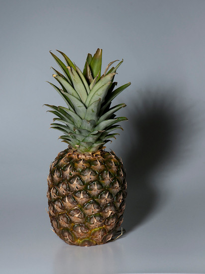 Kszta�towanie obrazu o�wietleniem - Fotoszko�a Fomei i Marumi: Lekcja 11