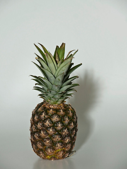 Kszta�towanie obrazu o�wietleniem - Fotoszko�a Fomei i Marumi: Lekcja 11