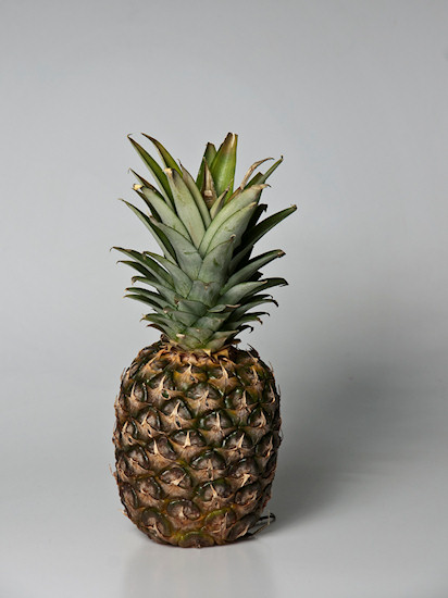 Kszta�towanie obrazu o�wietleniem - Fotoszko�a Fomei i Marumi: Lekcja 11