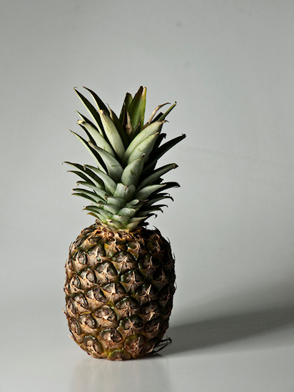 Kszta�towanie obrazu o�wietleniem - Fotoszko�a Fomei i Marumi: Lekcja 11