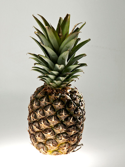 Kszta�towanie obrazu o�wietleniem - Fotoszko�a Fomei i Marumi: Lekcja 11