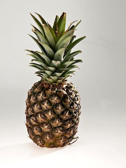 Kszta�towanie obrazu o�wietleniem - Fotoszko�a Fomei i Marumi: Lekcja 11