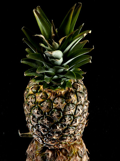 Kszta�towanie obrazu o�wietleniem - Fotoszko�a Fomei i Marumi: Lekcja 11