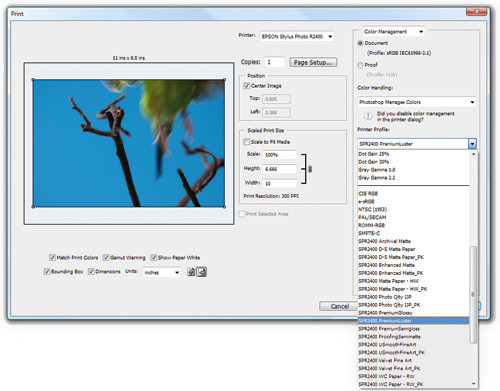 Zarz�dzanie kolorami - Rozdzia� 2