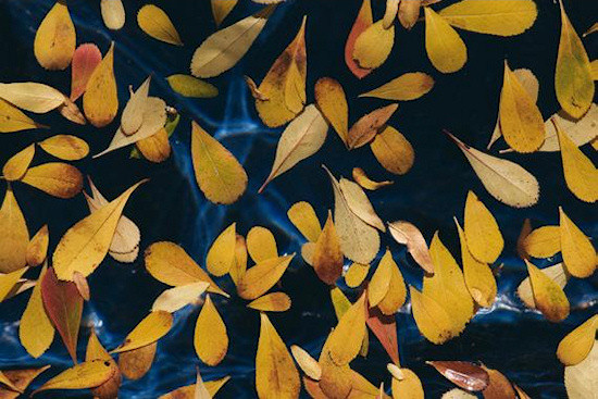 Zarz�dzanie kolorami - Rozdzia� 3