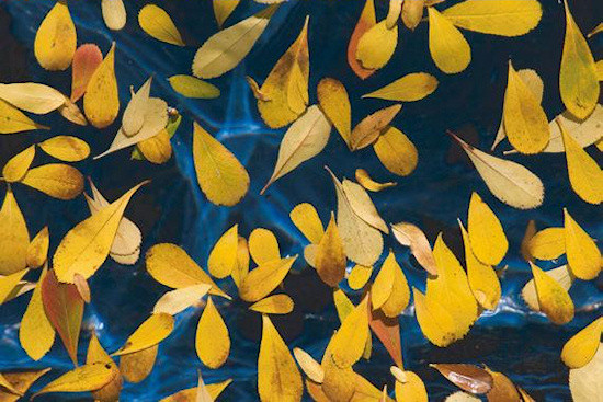 Zarz�dzanie kolorami - Rozdzia� 3