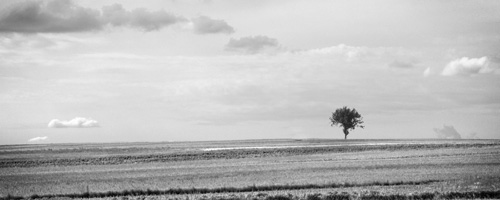 Kadrowanie zdj�� panoramicznych - Elementy kompozycji