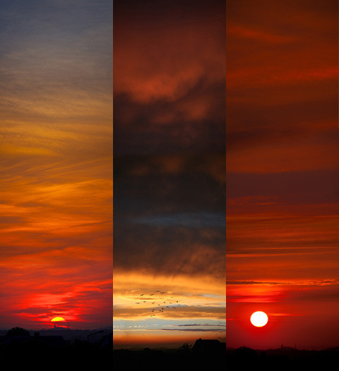 Kadrowanie zdj�� panoramicznych - Typy panoram