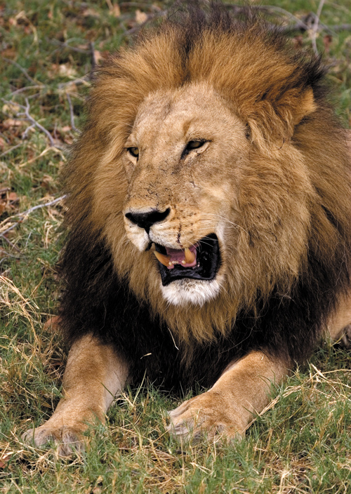 Zobaczy� �wiat�o - Rozdzia� 1