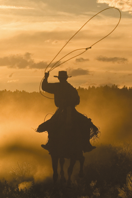 Zobaczy� �wiat�o - Rozdzia� 1