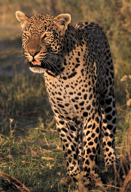 Zobaczy� �wiat�o - Rozdzia� 1