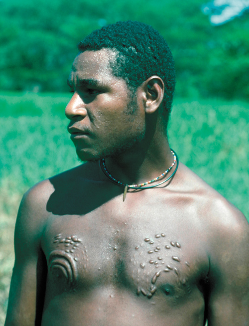 Zobaczy� �wiat�o - Rozdzia� 2