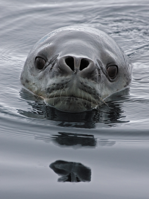 Zobaczy� �wiat�o - Rozdzia� 2