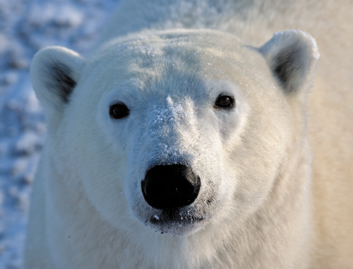 Zobaczy� �wiat�o - Rozdzia� 2