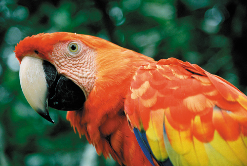 Zobaczy� �wiat�o - Rozdzia� 2