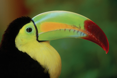 Zobaczy� �wiat�o - Rozdzia� 2