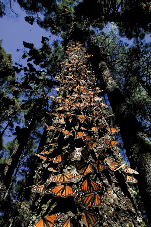 Zobaczy� �wiat�o - Rozdzia� 2