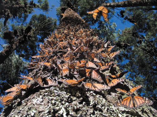 Zobaczy� �wiat�o - Rozdzia� 2