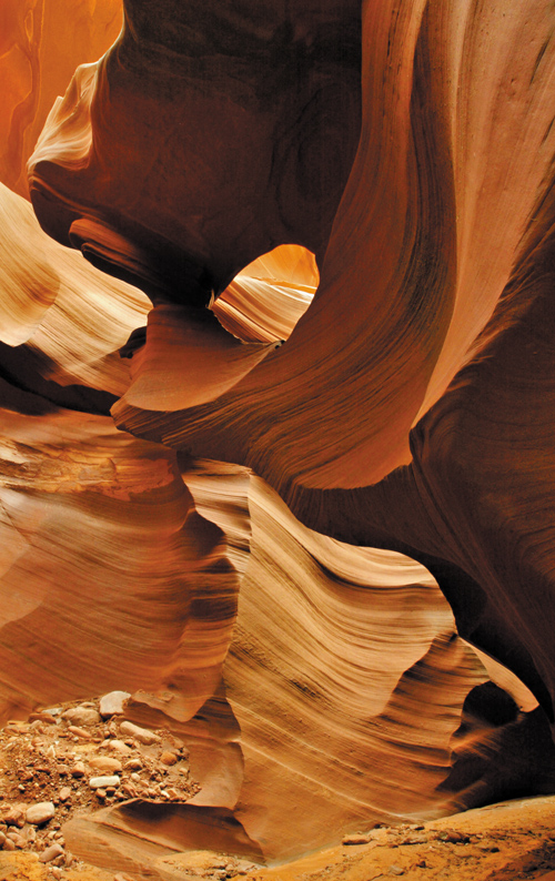 Zobaczy� �wiat�o - Rozdzia� 3