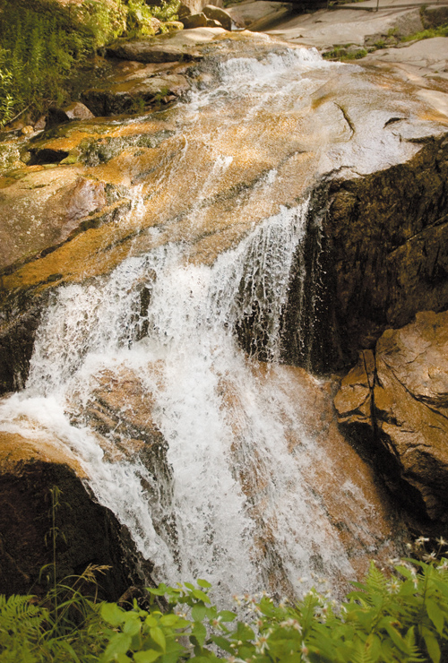 Zobaczy� �wiat�o - Rozdzia� 3