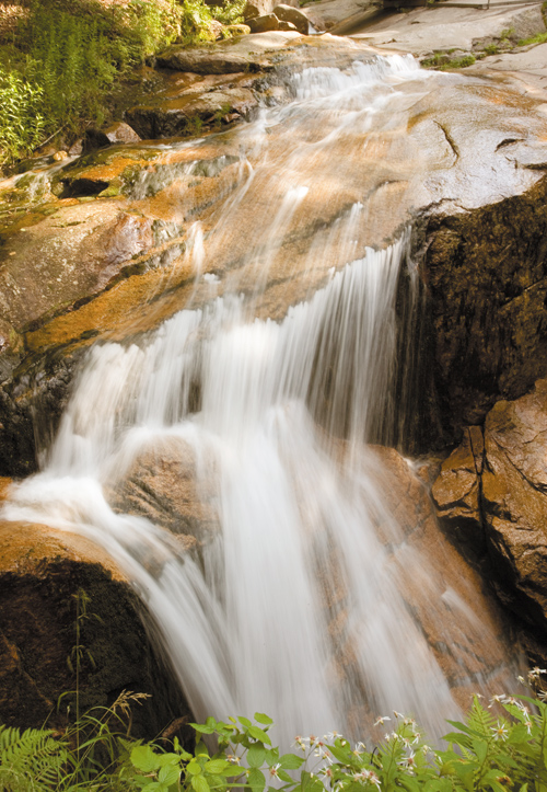 Zobaczy� �wiat�o - Rozdzia� 3