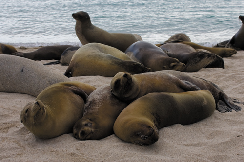 Zobaczy� �wiat�o - Rozdzia� 3