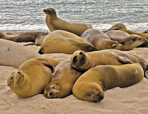 Zobaczy� �wiat�o - Rozdzia� 3